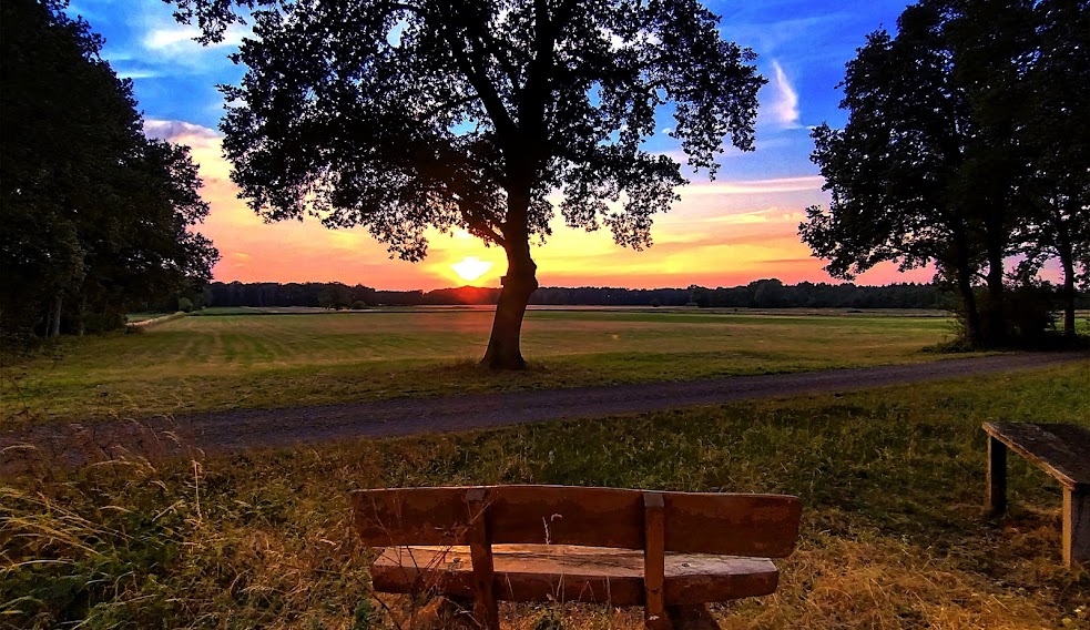 Abendstimmung an der Leine bei Suttorf mit Feldern, alter Eiche und Ruhebank